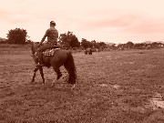 Aulas de equitação