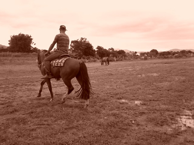 Foto 1 - Aulas de equitação