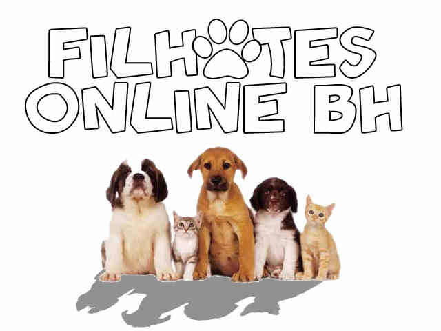 Foto 1 - Filhotes On Line BH - O maior portal de vendas